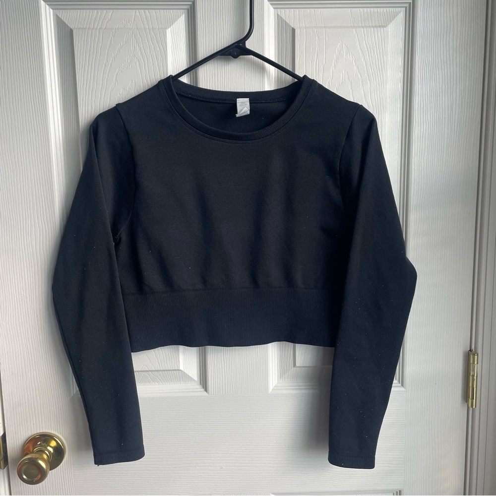 OFFLINE By Aerie Sidewalk Seamless Long Sleeve Cropped T-shirt
